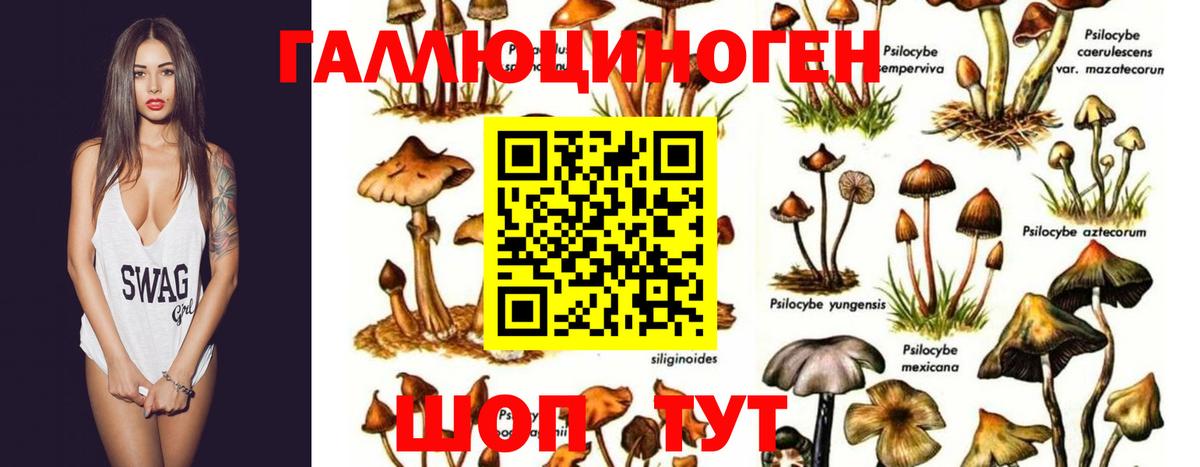 Каннабис  Вход с VPN  Марихуана  Новосибирск  Меф   Cocaine  Гашиш  ГАШИШ 