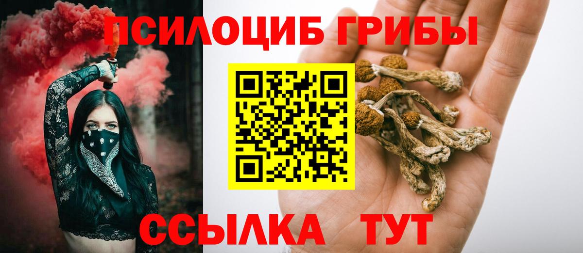 Галлюциногенные грибы GOLDEN TEACHER Новосибирск